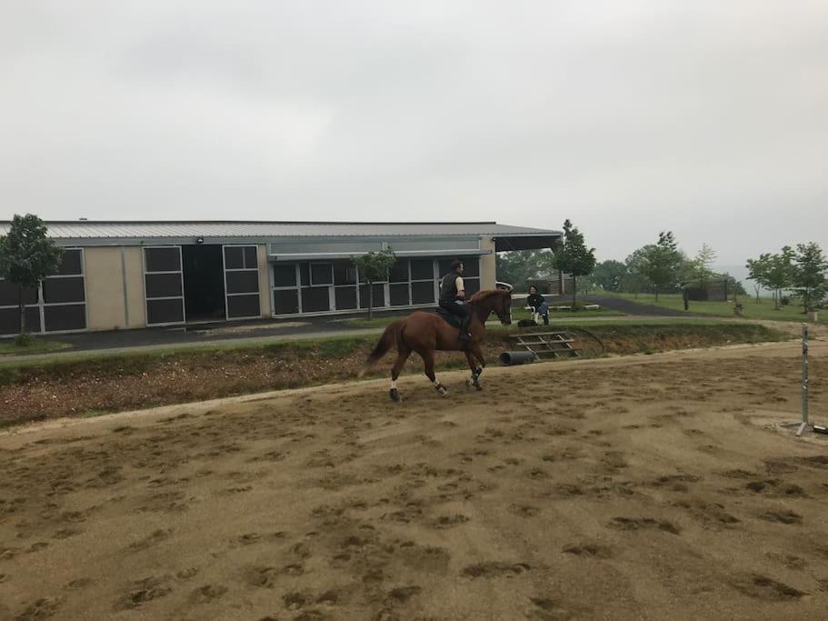 Logement Entier De Charme, Gite Equestre Gers Flamarens Eksteriør bilde