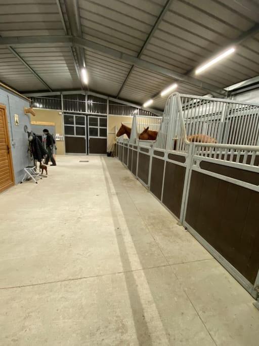 Logement Entier De Charme, Gite Equestre Gers Flamarens Eksteriør bilde